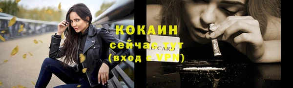 стафф Каменск-Шахтинский