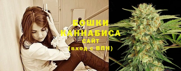 трава Каменка