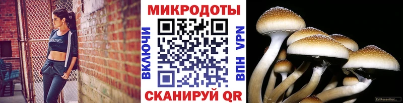 Галлюциногенные грибы GOLDEN TEACHER  Купить где  Жуковка 