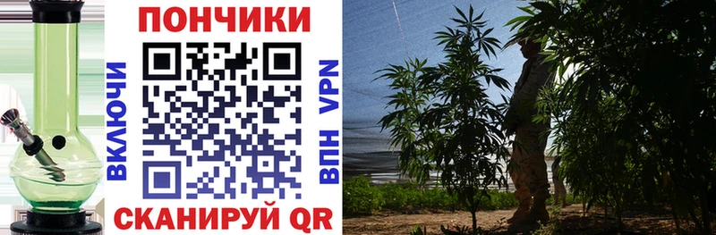 Купить где  Жуковка  Конопля индика 